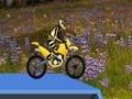 Hillblazer FMX, за да играят онлайн